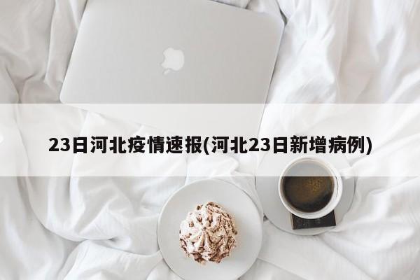 23日河北疫情速报(河北23日新增病例)